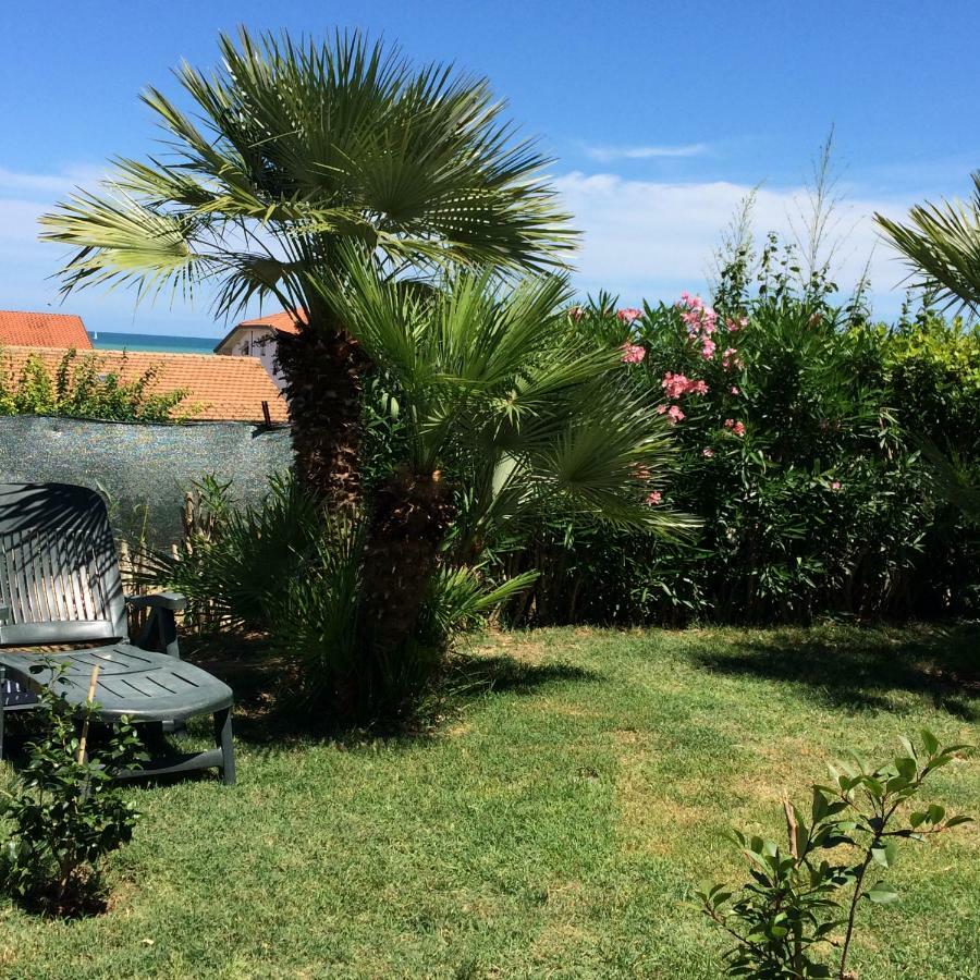 לינה וארוחת בוקר צ'יביטאנובה מארקה Casa "La Conchiglia" מראה חיצוני תמונה